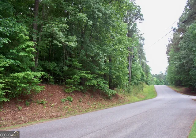 9th image of 1390 Northwoods Dr, Greensboro, GA 30642 | MLS# 10772495