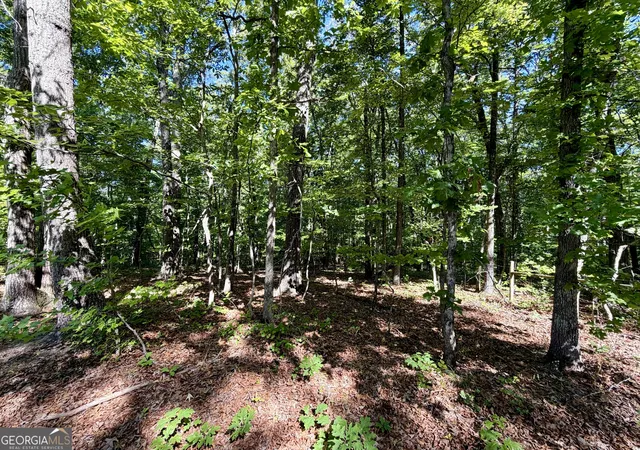 Photo 3 of Land for sale at 0 Leola Rd, Douglasville, GA 30135 | MLS# 10764822 | Listing updated on 2026-09-24