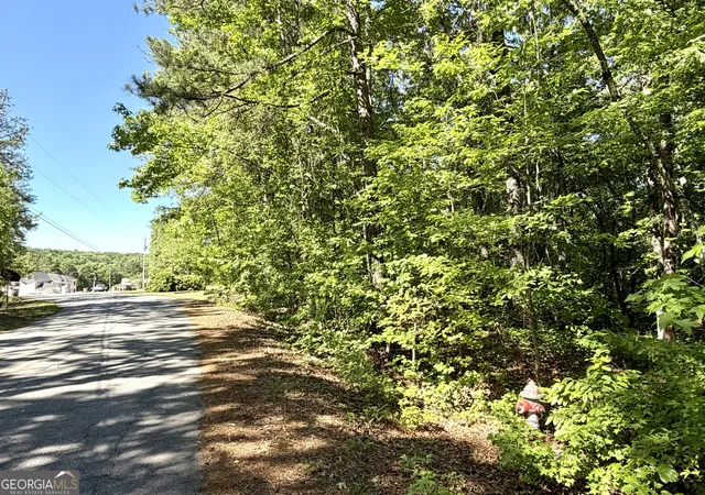 Photo 4 of Land for sale at 0 Leola Rd, Douglasville, GA 30135 | MLS# 10764822 | Listing updated on 2026-09-24