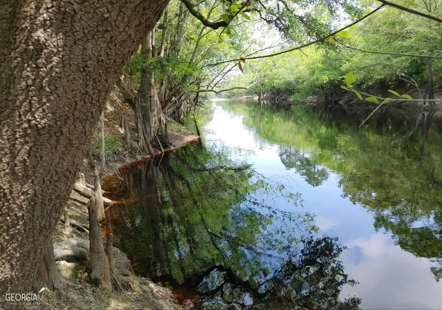 Photo 1 of Land for sale at Lot 1 Baker Blvd/cr 4, St. George, GA 31562 | MLS# 10760898 | Listing updated on 2026-07-21