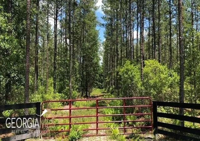 Photo 3 of Land for sale at Lot 1 Baker Blvd/cr 4, St. George, GA 31562 | MLS# 10760898 | Listing updated on 2026-07-21