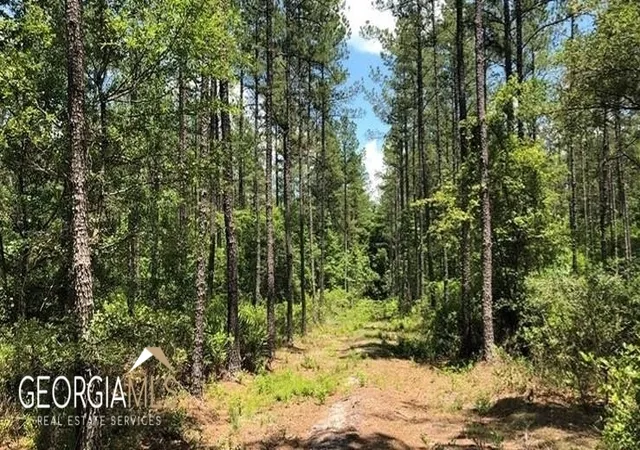Photo 3 of Land for sale at Lot 1 Baker Blvd/Cr 4, St. George, GA 31562 | MLS# 10760898 | Listing updated on 2026-07-21