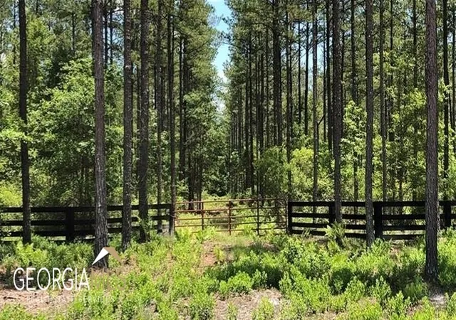 Photo 4 of Land for sale at Lot 1 Baker Blvd/Cr 4, St. George, GA 31562 | MLS# 10760898 | Listing updated on 2026-07-21