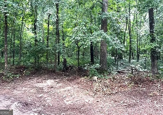 Photo 2 of Land for sale at 3871 Martin Dr, Ellenwood, GA 30294 | MLS# 10703051 | Listing updated on 2026-07-14