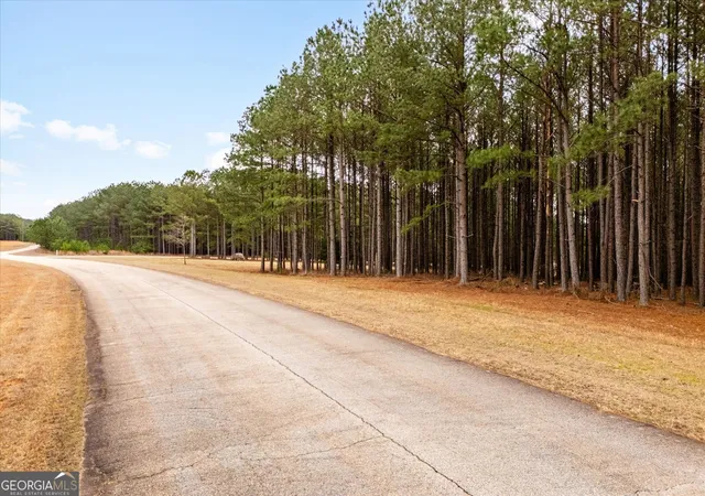 4th image of 1068 Hesters Ferry Rd, Tignall, GA 30668 | MLS# 10823961