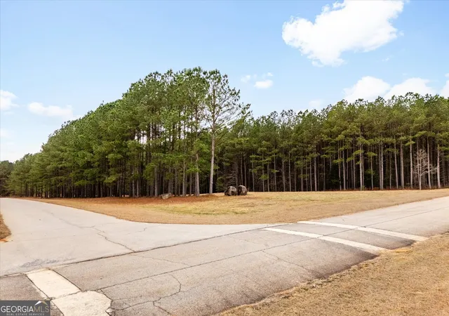 5th image of 1068 Hesters Ferry Rd, Tignall, GA 30668 | MLS# 10823961