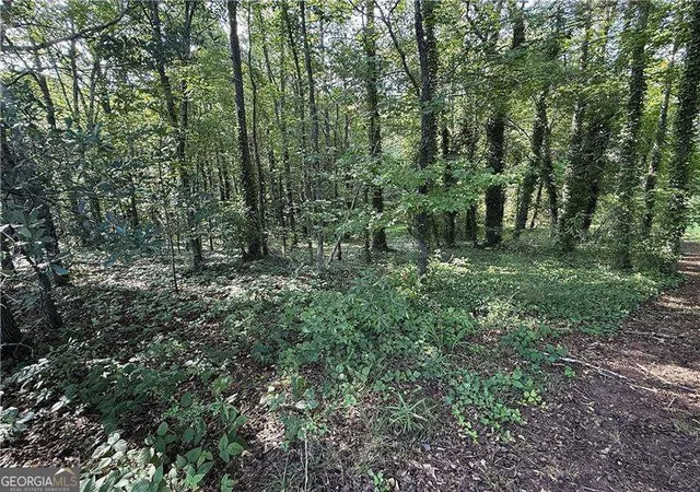 1st image of 0 Boxer Ln, Cumming, GA 30028 | MLS# 10808906
