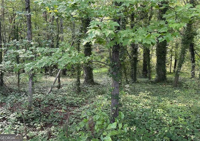 2nd image of 0 Boxer Ln, Cumming, GA 30028 | MLS# 10808906
