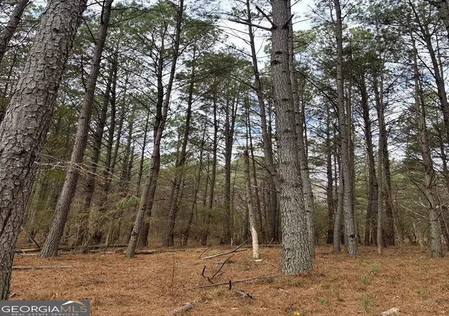 Photo 2 of Land for sale at 556 Benton Rd, Covington, GA 30014 | MLS# 10823636 | Listing updated on 2026-08-25