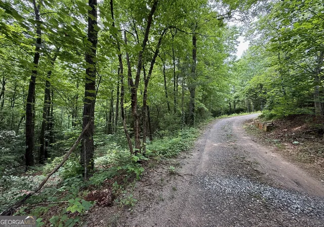 1st image of 00 Mr Bert Rd, Hiawassee, GA 30546 | MLS# 10776585