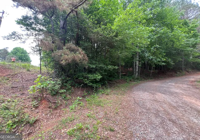 22nd image of 00 Mr Bert Rd, Hiawassee, GA 30546 | MLS# 10776585