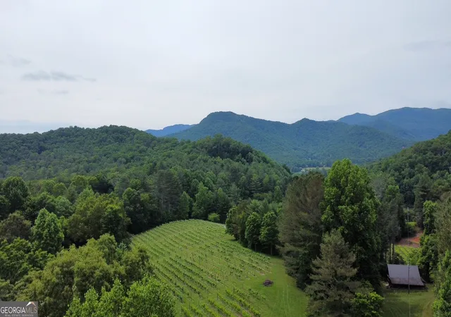2nd image of 00 Mr Bert Rd, Hiawassee, GA 30546 | MLS# 10776585
