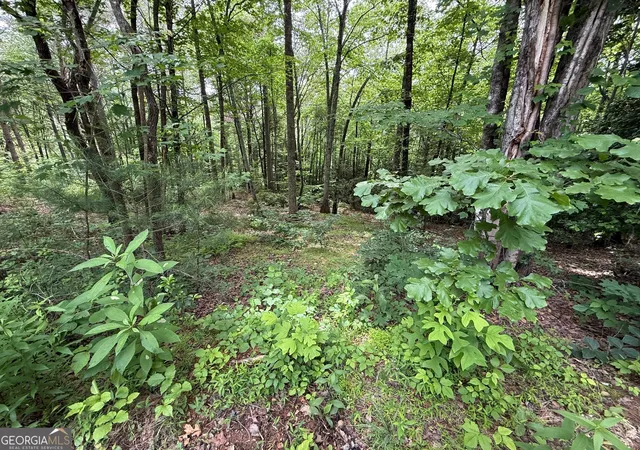 3rd image of 00 Mr Bert Rd, Hiawassee, GA 30546 | MLS# 10776585