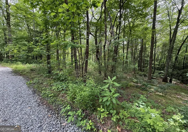 4th image of 00 Mr Bert Rd, Hiawassee, GA 30546 | MLS# 10776585