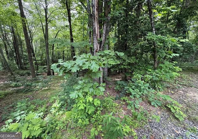 5th image of 00 Mr Bert Rd, Hiawassee, GA 30546 | MLS# 10776585