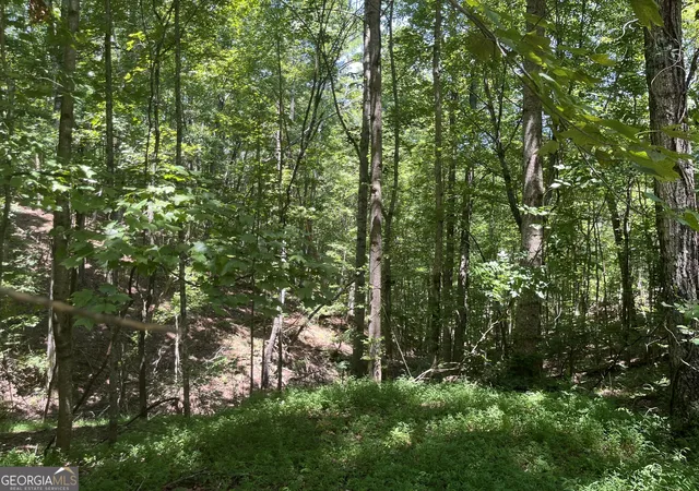 Photo 1 of Land for sale at 0 S Twin Oaks Dr, Ellijay, GA 30540 | MLS# 10821284 | Listing updated on 2026-10-16