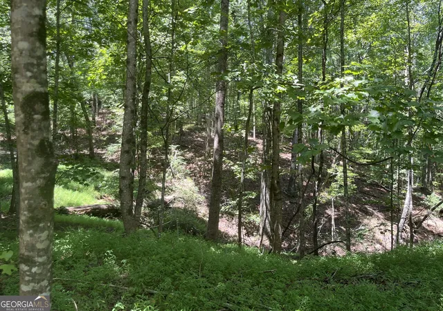 Photo 1 of Land for sale at 0 S Twin Oaks Dr, Ellijay, GA 30540 | MLS# 10821284 | Listing updated on 2026-10-16