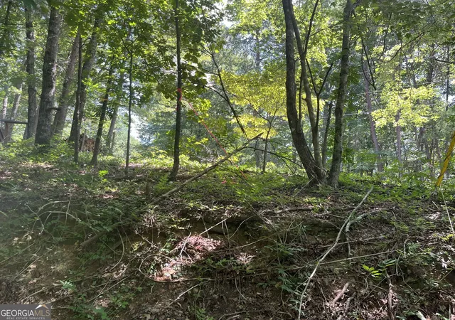 Photo 2 of Land for sale at 0 S Twin Oaks Dr, Ellijay, GA 30540 | MLS# 10821284 | Listing updated on 2026-10-16