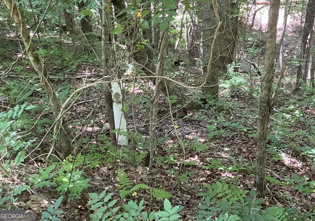 Photo 3 of Land for sale at 0 S Twin Oaks Dr, Ellijay, GA 30540 | MLS# 10821284 | Listing updated on 2026-10-16