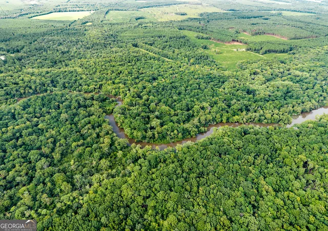 1st image of 232 Acres Old River Rd N, Statesboro, GA 30461 | MLS# 10777304