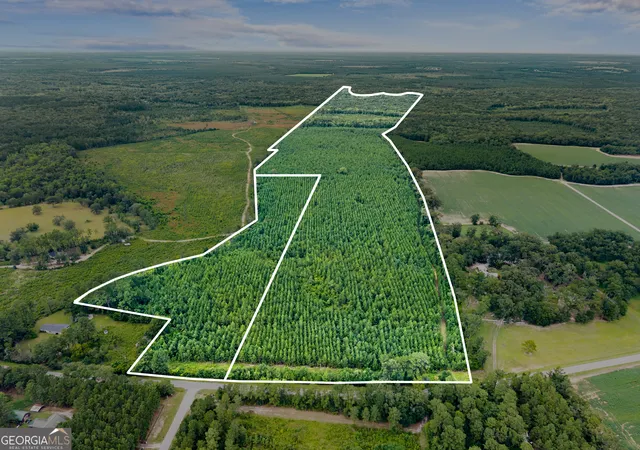 23rd image of 232 Acres Old River Rd N, Statesboro, GA 30461 | MLS# 10777304