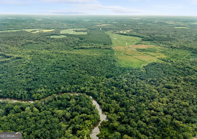 3rd image of 232 Acres Old River Rd N, Statesboro, GA 30461 | MLS# 10777304