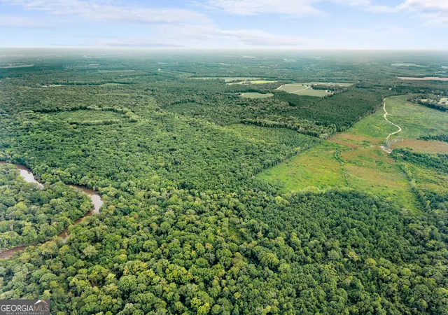 4th image of 232 Acres Old River Rd N, Statesboro, GA 30461 | MLS# 10777304