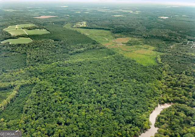 5th image of 232 Acres Old River Rd N, Statesboro, GA 30461 | MLS# 10777304