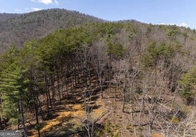 Photo 2 of Land for sale at 0 Bellflower Pl, Helen, GA 30545 | MLS# 10706437 | Listing updated on 2026-08-30