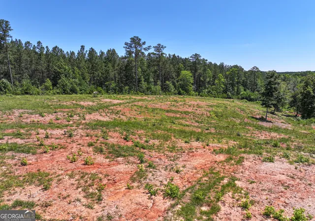Homes for sale in Buchanan, GA | 259 Garner Road, Buchanan, GA 30113 | MLS# 10787354