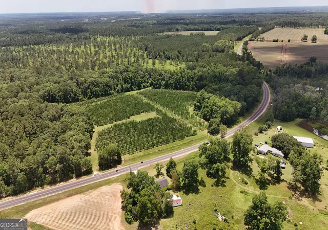 32nd image of 2773 Hwy 33, Boston, GA 31626 | MLS# 10784980