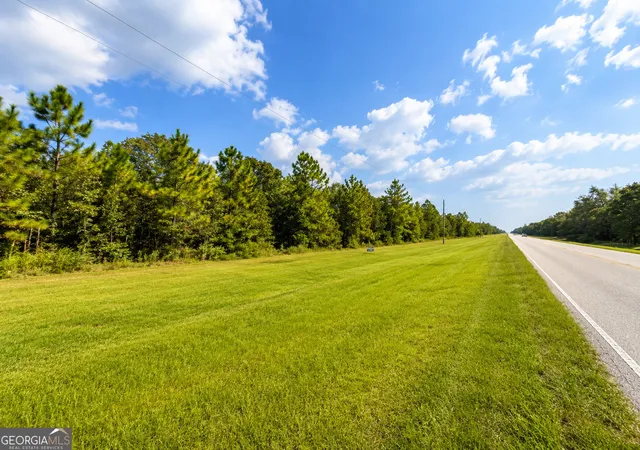 Homes for sale in Twin City, GA | 0 Hwy 46, Twin City, GA 30471 | MLS# 10674052