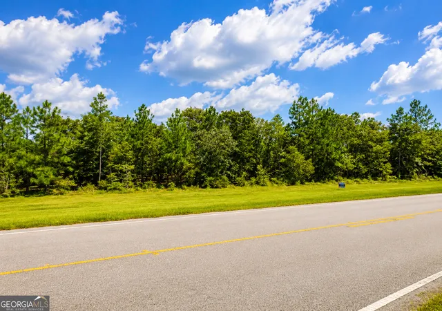 Homes for sale in Twin City, GA | 0 Hwy 46, Twin City, GA 30471 | MLS# 10674052