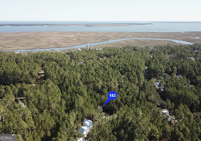 Homes for sale in St. Marys, GA | 0 Jetty Pl, St. Marys, GA 31558 | MLS# 10435103