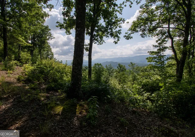 Photo 1 of Land for sale at 850 Bluff Rd, Marble, NC 28905 | MLS# 10811323 | Listing updated on 2026-08-20