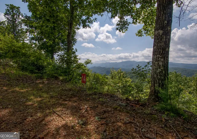 Photo 2 of Land for sale at 850 Bluff Rd, Marble, NC 28905 | MLS# 10811323 | Listing updated on 2026-08-20