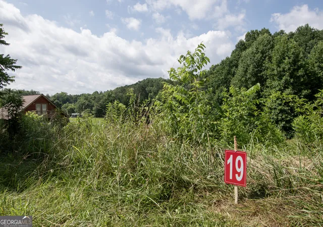 Photo 33 of Land for sale at 850 Bluff Rd, Marble, NC 28905 | MLS# 10811323 | Listing updated on 2026-08-20