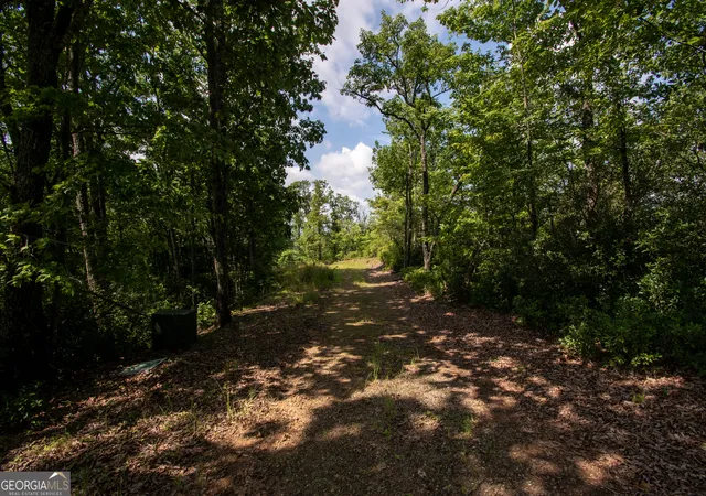 Photo 3 of Land for sale at 850 Bluff Rd, Marble, NC 28905 | MLS# 10811323 | Listing updated on 2026-08-20