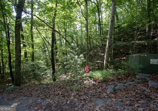 Photo 4 of Land for sale at 850 Bluff Rd, Marble, NC 28905 | MLS# 10811323 | Listing updated on 2026-08-20