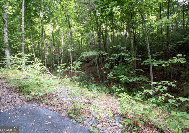 Photo 5 of Land for sale at 850 Bluff Rd, Marble, NC 28905 | MLS# 10811323 | Listing updated on 2026-08-20