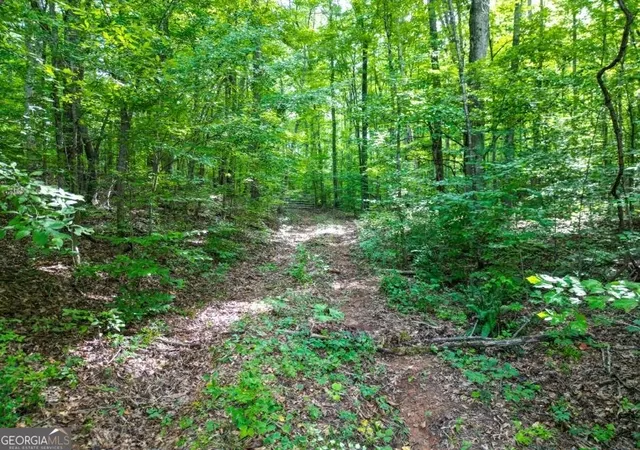Photo 3 of Land for sale at 0 Highway 431, Roanoke, AL 36274 | MLS# 10812023 | Listing updated on 2026-08-07
