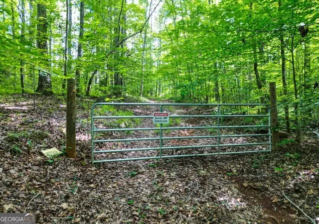Photo 3 of Land for sale at 0 Highway 431, Roanoke, AL 36274 | MLS# 10812023 | Listing updated on 2026-08-07