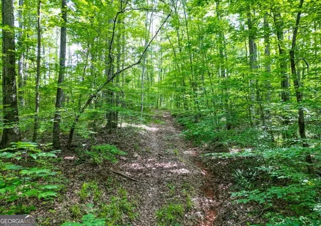 Photo 4 of Land for sale at 0 Highway 431, Roanoke, AL 36274 | MLS# 10812023 | Listing updated on 2026-08-07