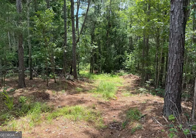 Homes for sale in Lagrange, GA | 0 Whatley North Rd, Lagrange, GA 30240 | MLS# 10792621