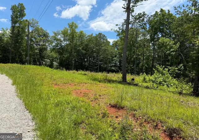 Homes for sale in Lagrange, GA | 0 Whatley North Rd, Lagrange, GA 30240 | MLS# 10792621