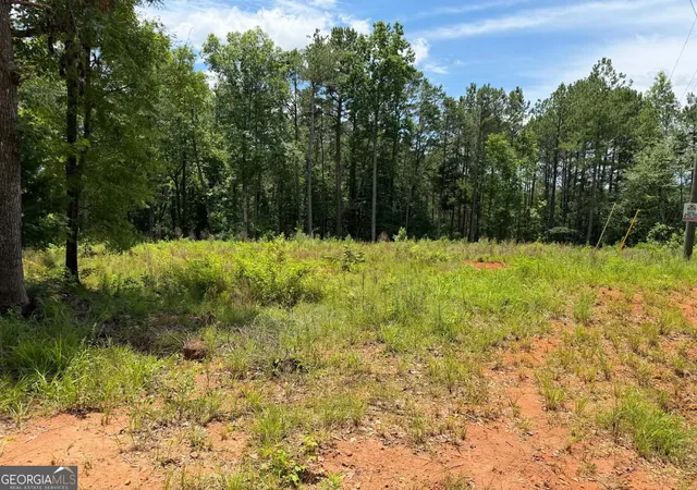 Homes for sale in Lagrange, GA | 0 Whatley North Rd, Lagrange, GA 30240 | MLS# 10792621