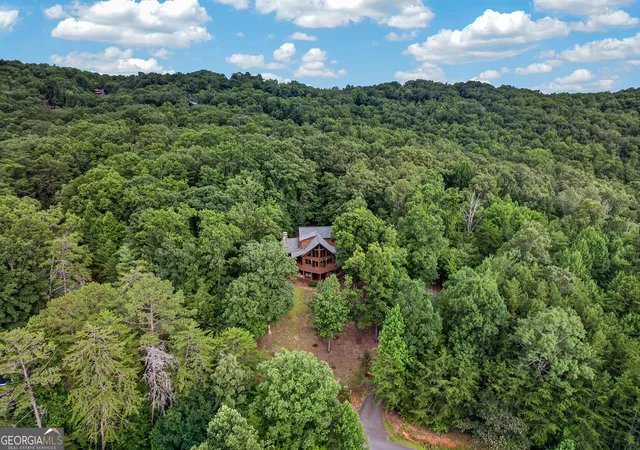 3rd image of 23 Dolores Dr, Mineral Bluff, GA 30559 | MLS# 10811681