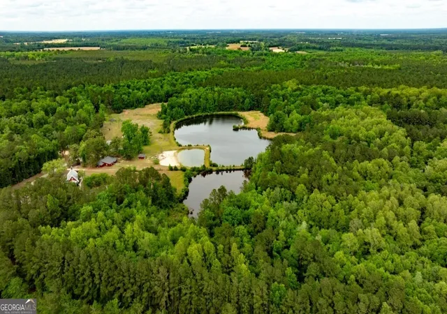 3rd image of 2171 Prather Rd, Statesboro, GA 30461 | MLS# 10760479
