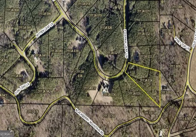 Photo 1 of Land for sale at 0 Fox Paw Leaf (lot 34) Ln #(LOT 34), Ellijay, GA 30536 | MLS# 10669644 | Listing updated on 2026-09-09