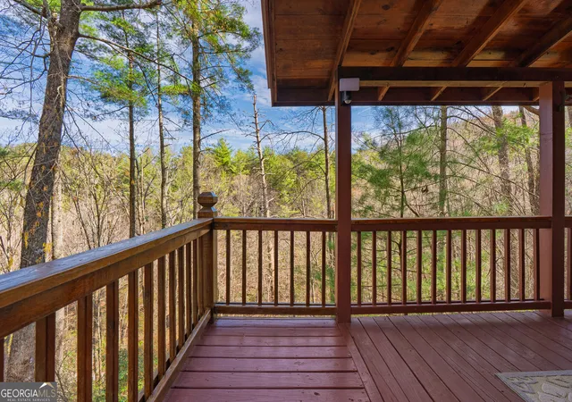 Homes for sale in Cherry Log, GA | 216 Pig Trl, Cherry Log, GA 30522 | MLS# 10736101